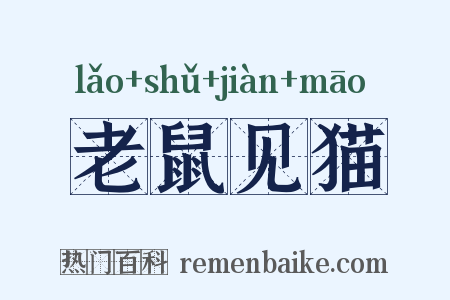 老鼠见猫是什么意思的图片